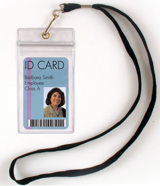 3 Vertical Hard Plastic ID Badge Holder ID Badge Card Holder Transparent TW 